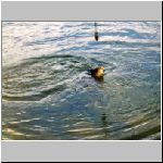 Jindris 24.4..2008 10-43-37.JPG